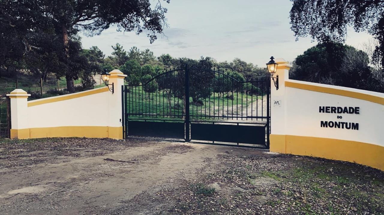 Pensjonat Montum Farm Living Melides Zewnętrze zdjęcie