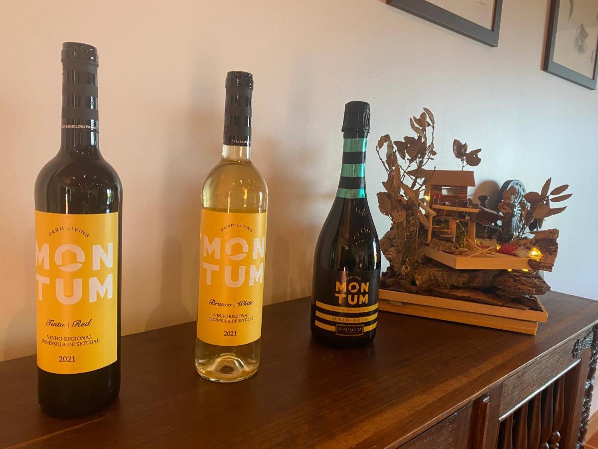 Pensjonat Montum Farm Living Melides Zewnętrze zdjęcie