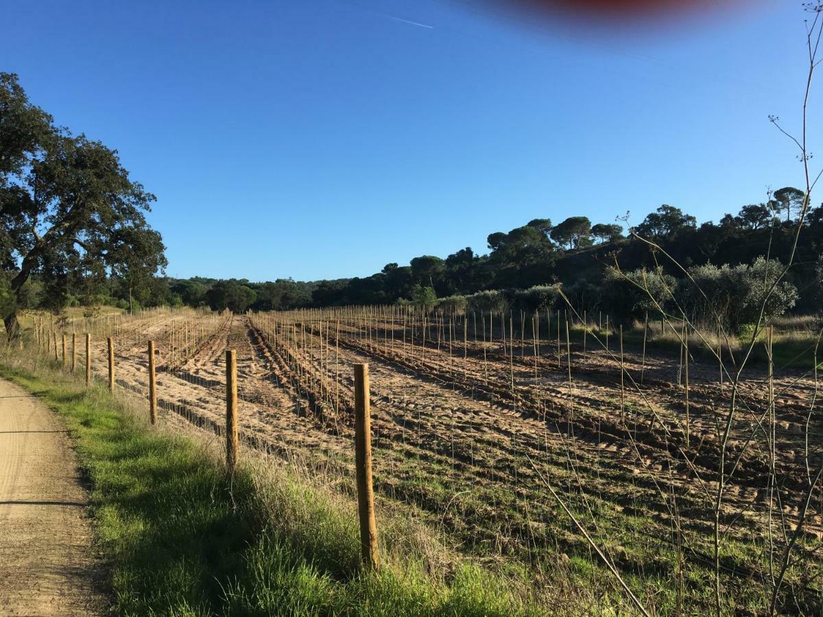 Pensjonat Montum Farm Living Melides Zewnętrze zdjęcie